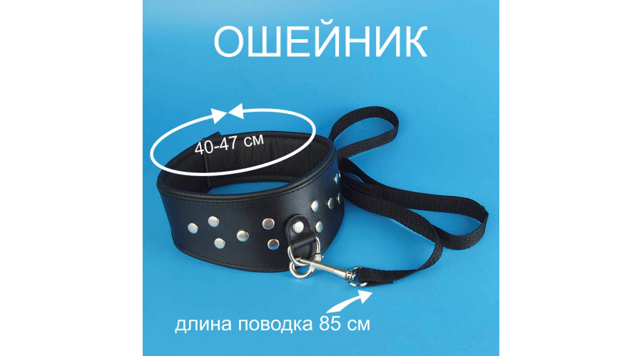 Ошейник с поводком